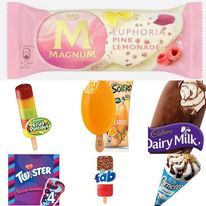 455263398_512070208174238_8267132727196014494_n