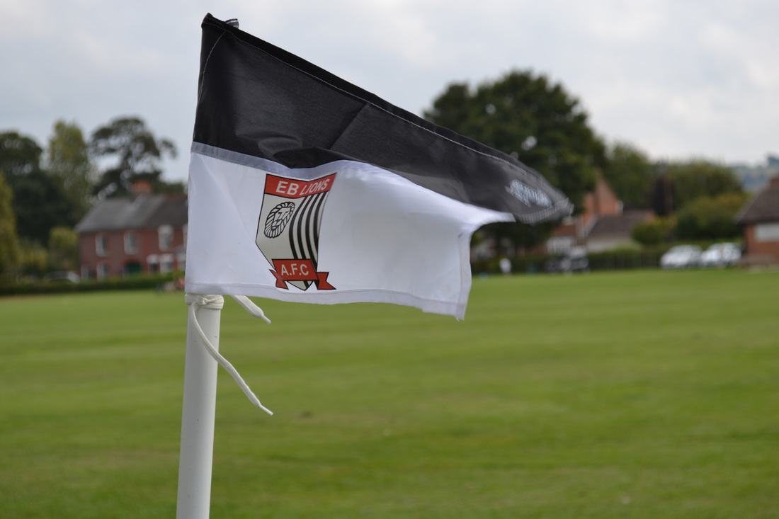Football Pitches on the Village Green